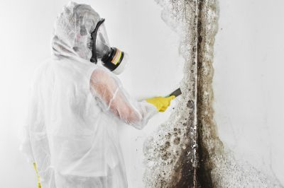 Basement Mold Removal in Bergen County, NJ