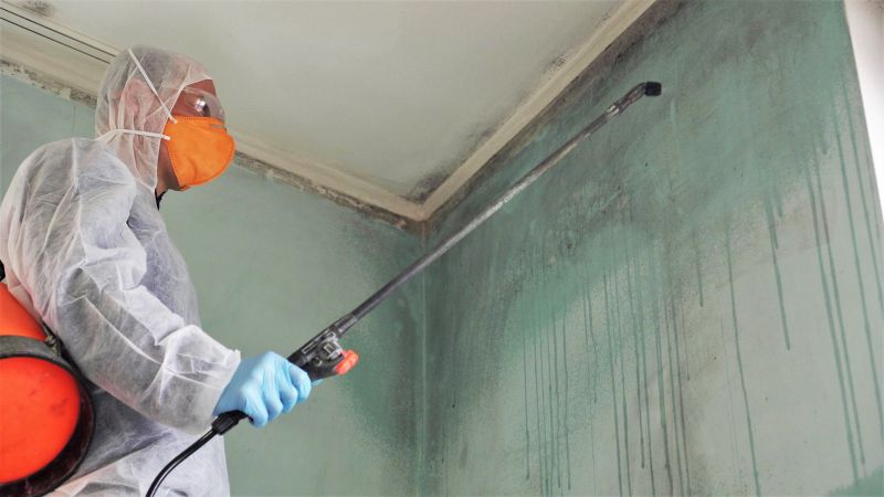 Black Mold Remediation in Fort Worth, TX