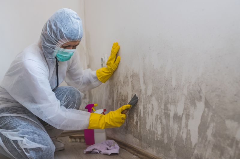 Ceiling Mold Removal in Frisco, TX