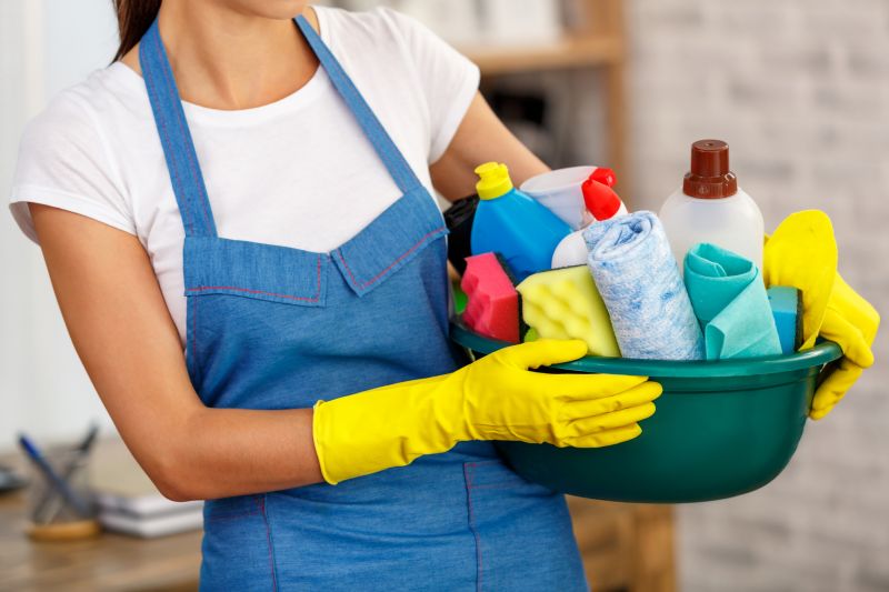 Apartment Maid Service detail