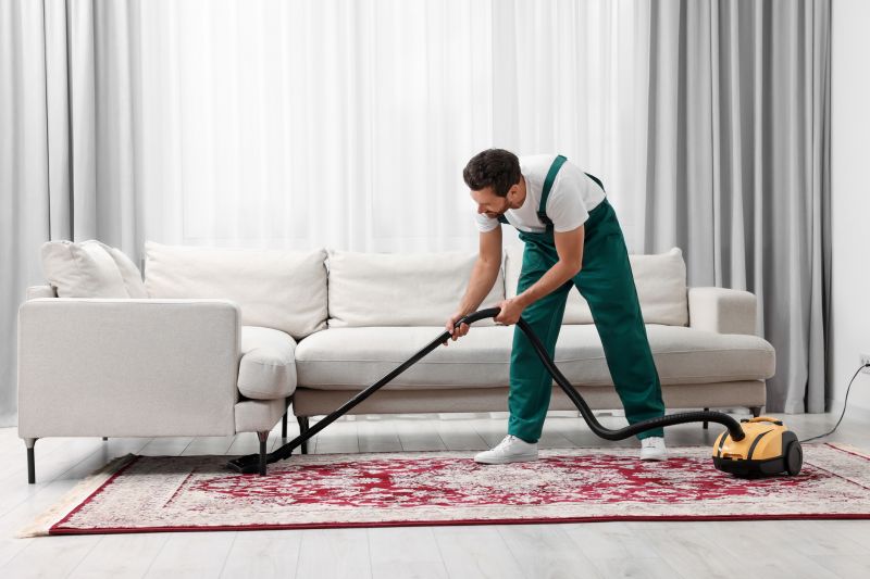 Couch Cleaning Service detail