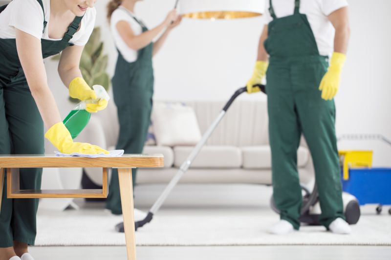 Furniture Cleaning Service detail