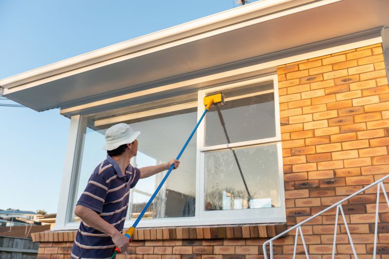 Wall Cleaning Service detail