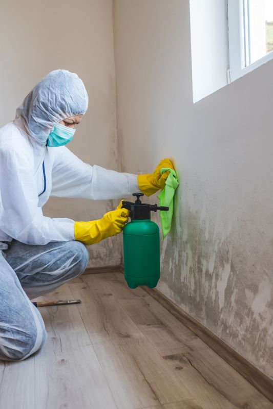Mold Abatement Service in Boca Raton, FL