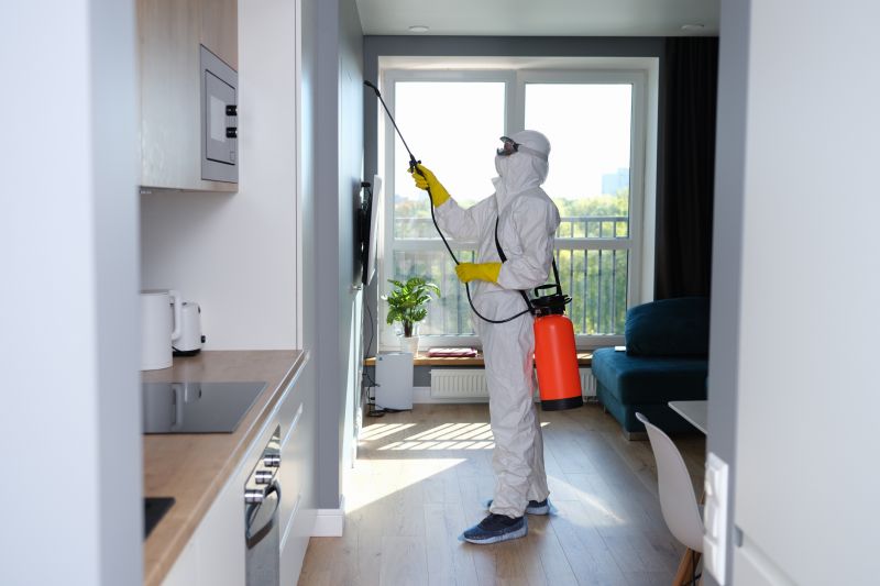 Mold Removal in Dallas, TX