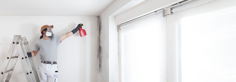 Mold Removal in Frisco, TX