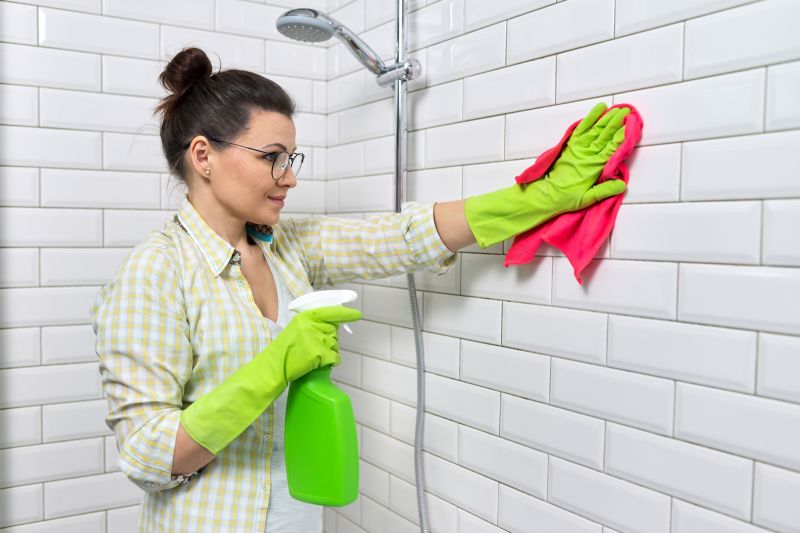Wall Cleaning Service
